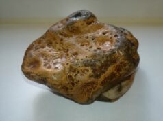 Manganese-Boom: Electric Metals schießt nach Nordamerika-PEA um über 200 % nach oben!