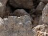 Texas entdeckt Lithium-Schatz: Höchste Lithium-Konzentration Nordamerikas im Smackover-Brine a close up of a rock formation with rocks in the background